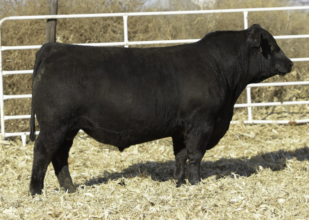 Baldridge Marksman D274 Accelerated