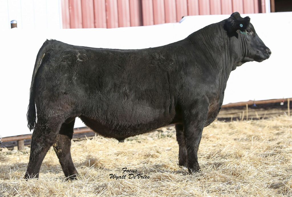 GW Dynamic 396E - Accelerated Genetics